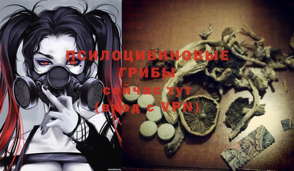 соль ск Майский