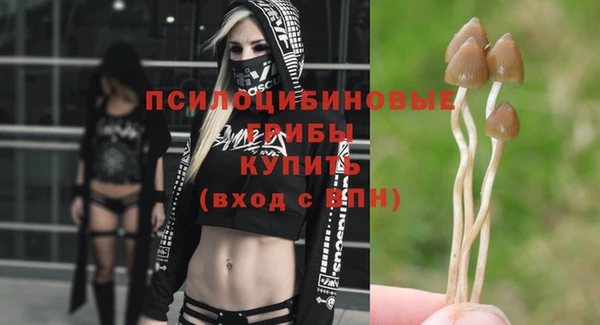 дживик Магас