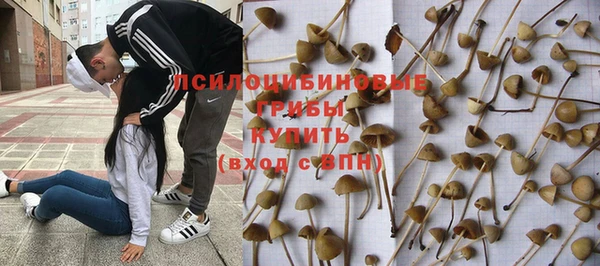 дживик Магас