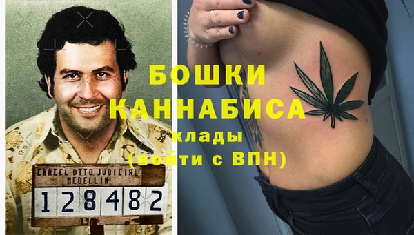 дживик Магас