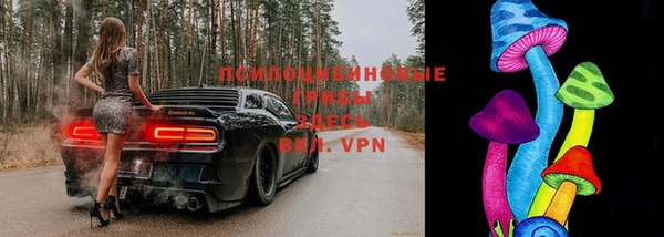 дурь Анжеро-Судженск