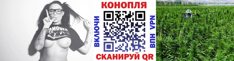 наркошоп  Струнино  Марихуана сатива 